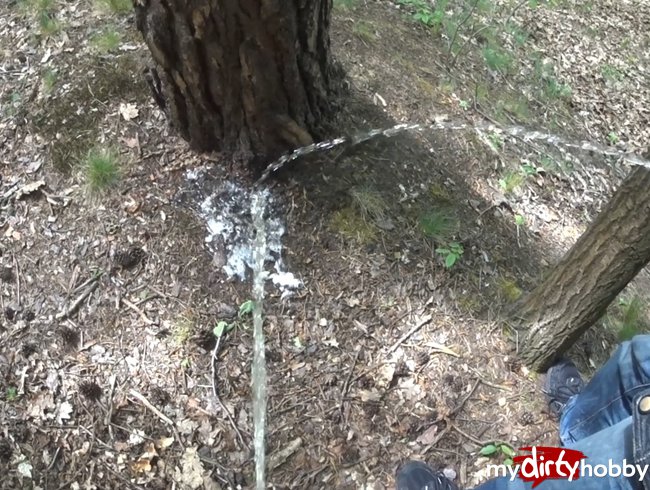 Mein Freund und ich beim Pissen im Wald