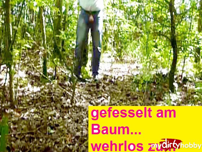 Wehrlos gefesselt am Baum