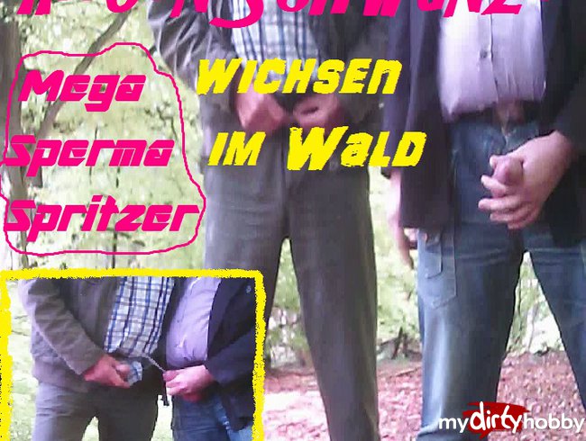 Gay - Megaschwänze wichsen sich im Wald leer