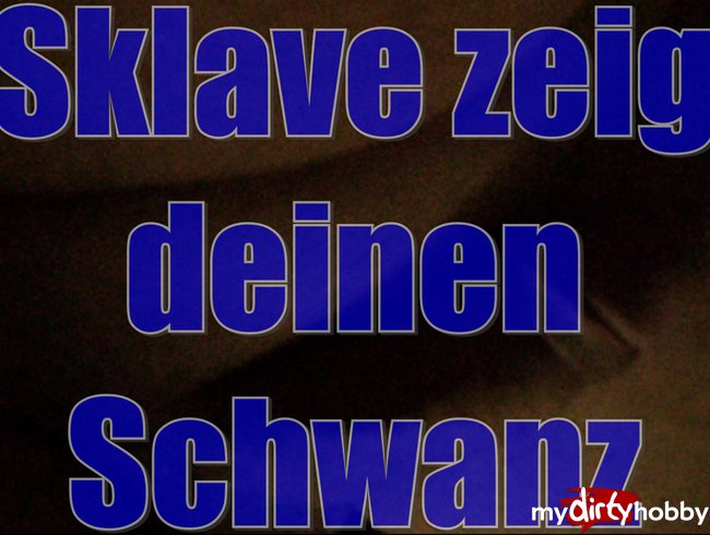 Sklave zeig deinen Schwanz